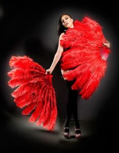 Segundo Festival Internacional de Burlesque, Llega a Medell&iacute;n el segundo Festival Internacional de Burlesque, El Poblado en Historias