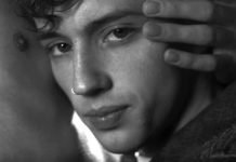 Animal, el nuevo sencillo de Troye Sivan habla sobre el amor diverso