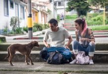 los días de la ballena