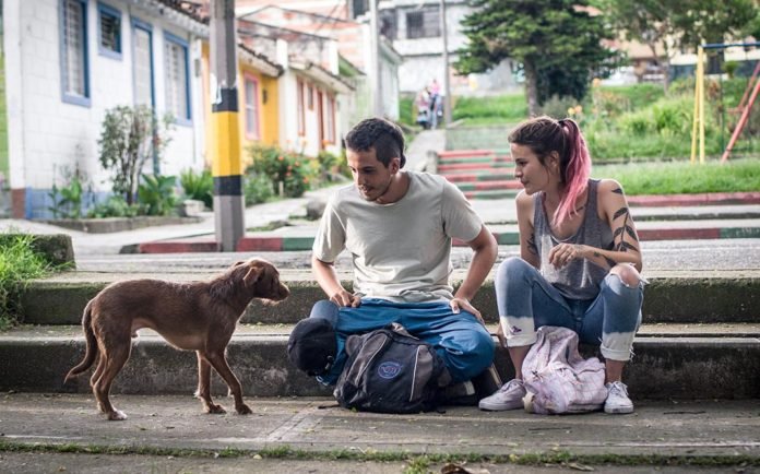 los días de la ballena