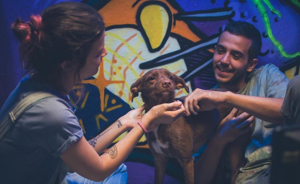 Los Días de la Ballena