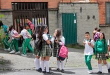 Corte Constitucional advierte que colegios deben acompañar procesos de estudiantes trans Corte Constitucional