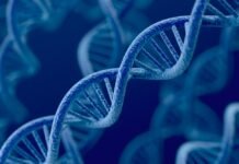 CRISPR – EBT-101 una posible cura potencial al VIH VIH