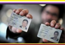 ¿Qué es género no binario? Entiende ahora que la Registraduría de Colombia deberá reconocerlo Colombia