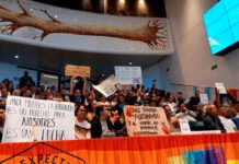 El Orgullo LGBTI+ sigue haciendo historia y transformando a Medellín Medellín Becas Trans