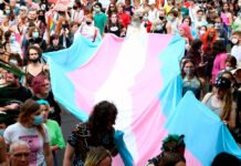 Un repaso al Día de la Visibilidad Trans 2024: ¿Cómo son las experiencias de vida trans? Visibilidad trans