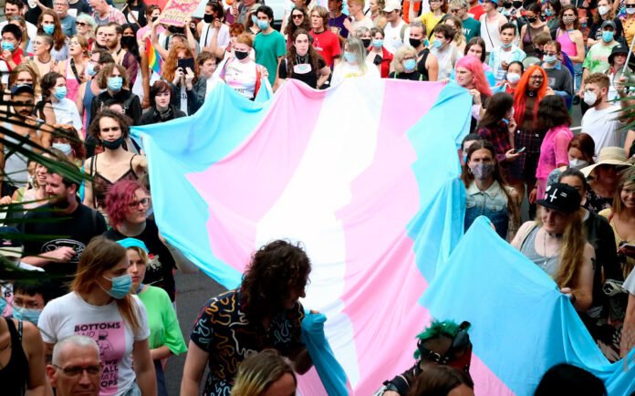 dia-de-la-visibilidad-trans-2024 Visibilidad trans