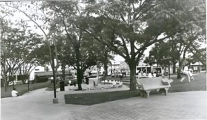 , Un viaje en el tiempo por El Poblado, El Poblado en Historias