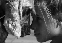 Politica Publica Bienestar Animal